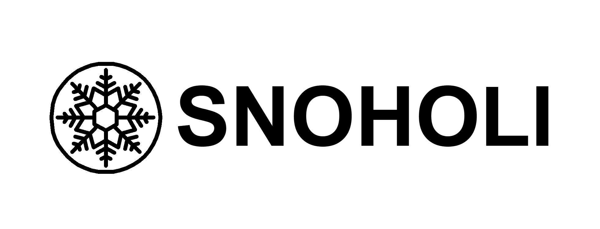 [SNOHOLI]スキースティッカー